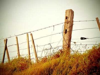 The Growing Importance of Cybersecurity